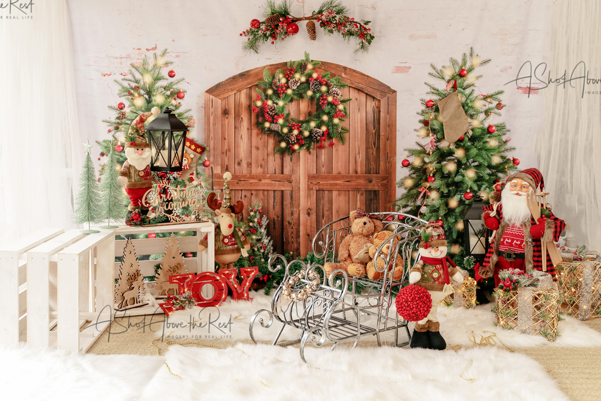 A Shot Above the Rest Christmas Mini Sessions